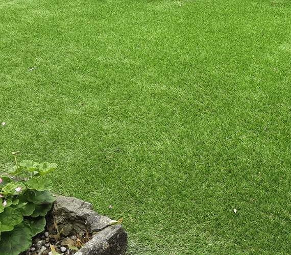 Detailed view of 40mm (Roma) artificial grass border in a residential garden setting.