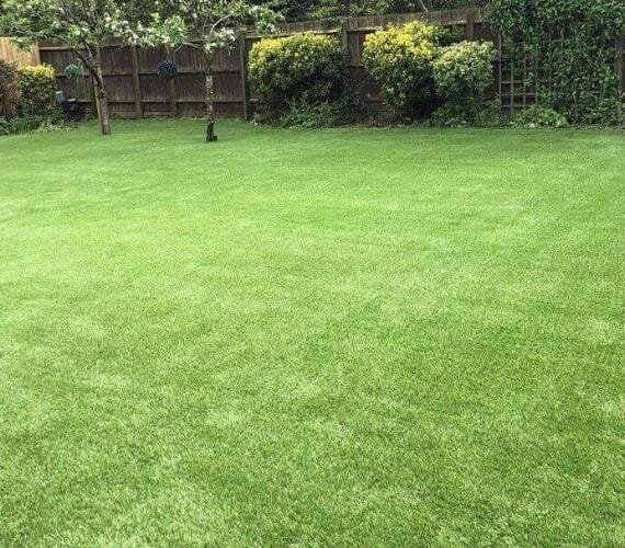Lush green residential lawn installation featuring 40mm (Roma) artificial grass in a backyard